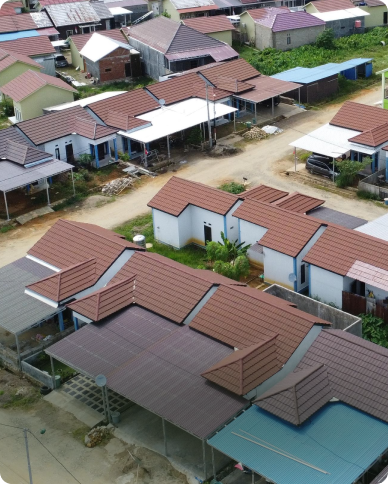 Poverty Alleviation background
