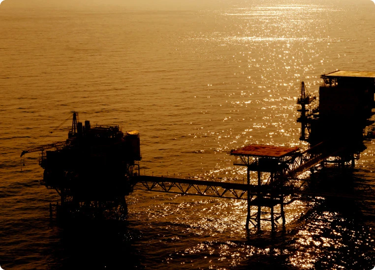 Danantara Investment Management-background